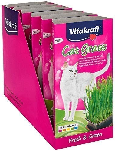 Vitakraft Cat Grass Seed Kit Pet Wheat Grass, Grow Indoor Treat Tray 120g (Pack of 6)